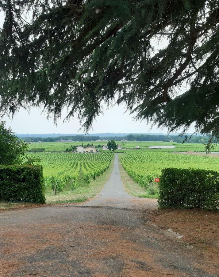 A L'Ombre De La Treille -Proche Saint-Emilion Bed and Breakfast Exteriör bild